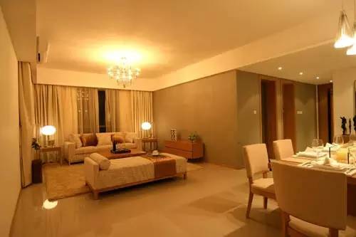 南北客廳個(gè)東西客廳裝修效果圖_客廳餐廳隔斷裝修效果圖,客廳_客廳裝修