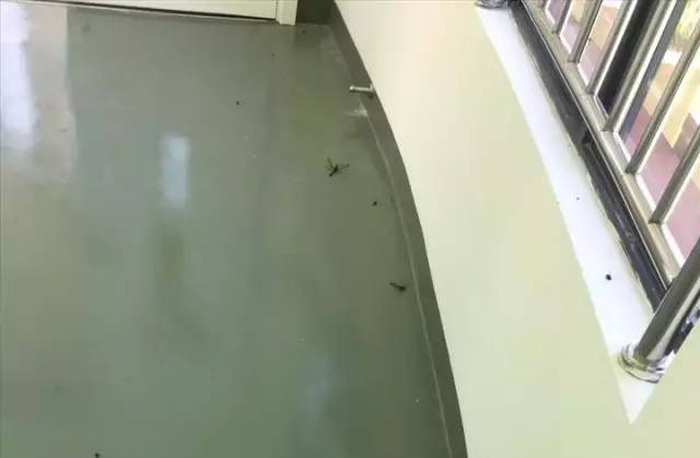 死尸遍地！寧波一幼兒園裝修后現(xiàn)場(chǎng)觸目驚心！