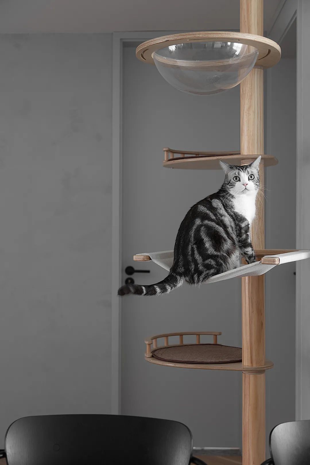 奧軒裝飾上海裝修上海工裝公司_上海裝修設(shè)計(jì)_上海國際設(shè)計(jì)上海展覽會