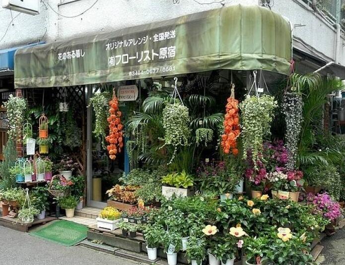 90后美女在閣樓開(kāi)店鋪！房間太破，奇思妙想用各種植物來(lái)掩蓋