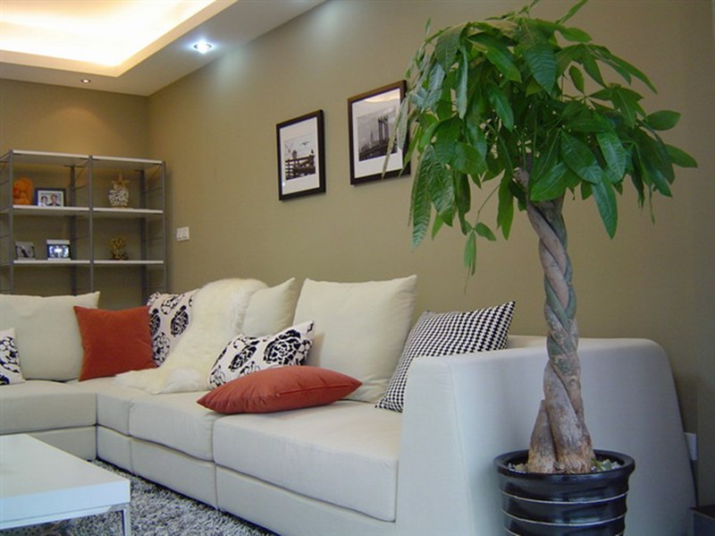 福州比美特裝修效果圖_咖啡廳裝修效果圖 設計_福州裝修設計