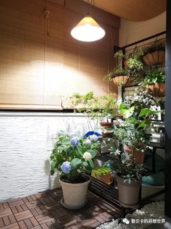 內(nèi)衣實體店裝修風(fēng)格圖_內(nèi)衣店裝修圖_內(nèi)衣飾品店裝修圖片