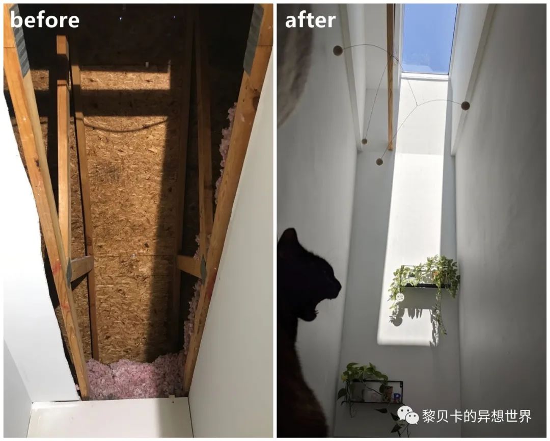 內(nèi)衣店裝修圖_內(nèi)衣飾品店裝修圖片_內(nèi)衣實體店裝修風(fēng)格圖