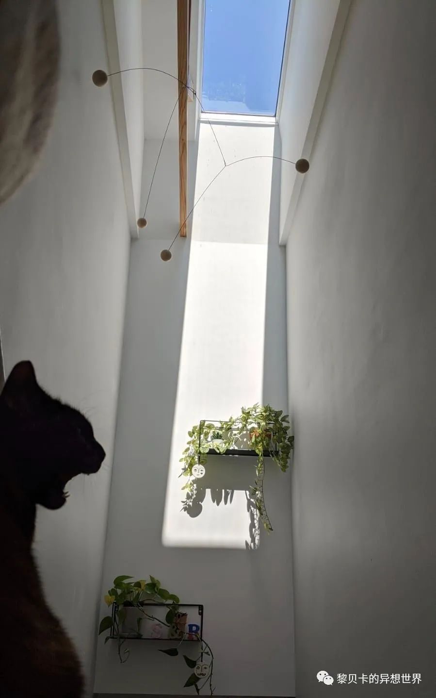 內(nèi)衣店裝修圖_內(nèi)衣飾品店裝修圖片_內(nèi)衣實體店裝修風(fēng)格圖