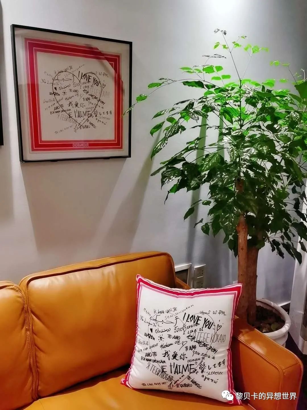 內(nèi)衣實體店裝修風(fēng)格圖_內(nèi)衣飾品店裝修圖片_內(nèi)衣店裝修圖