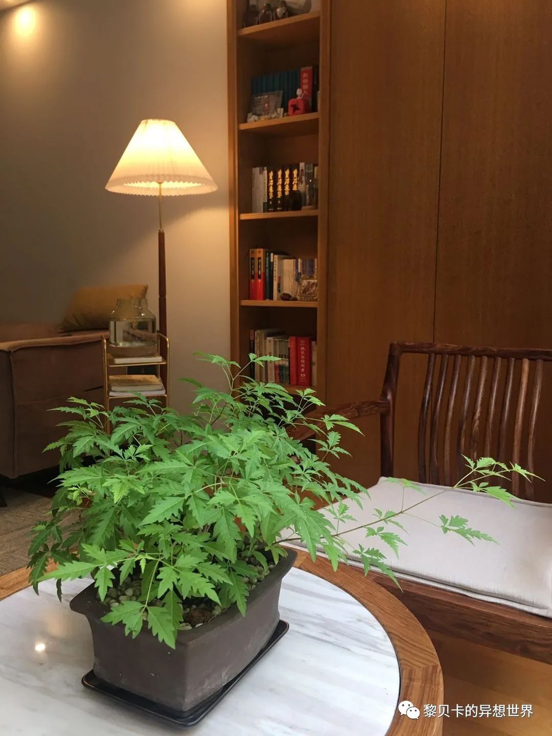 內(nèi)衣店裝修圖_內(nèi)衣飾品店裝修圖片_內(nèi)衣實體店裝修風(fēng)格圖