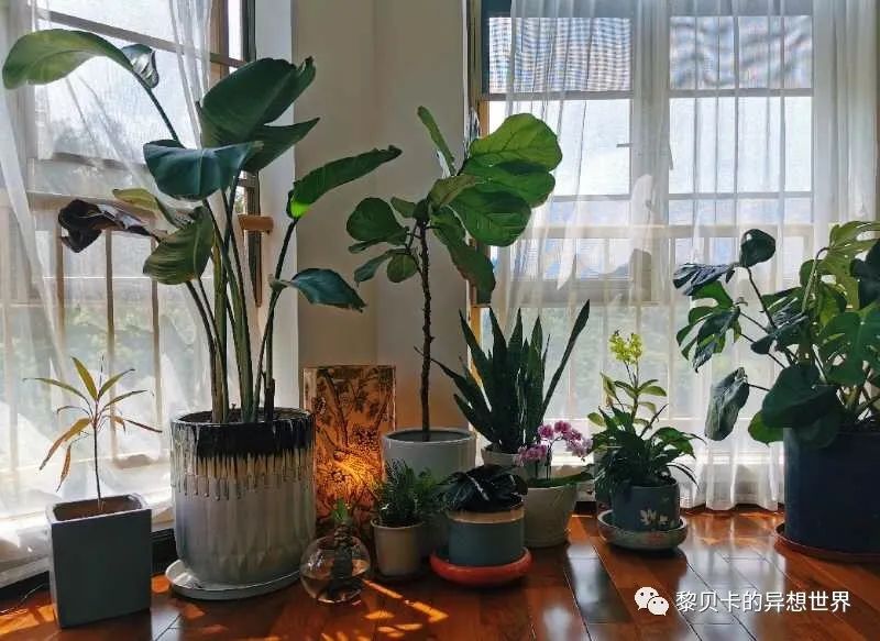 內(nèi)衣飾品店裝修圖片_內(nèi)衣店裝修圖_內(nèi)衣實體店裝修風(fēng)格圖