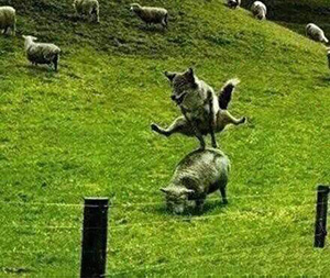 裝修設(shè)計軟件+書籍+網(wǎng)站+App，這是全網(wǎng)超詳細的一篇匯總指南