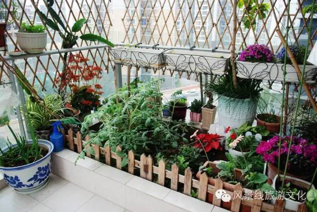 陽臺(tái)裝修效果圖大全2013圖片現(xiàn)代簡約_陽臺(tái)裝修效果圖大全2012圖片_陽臺(tái)裝修效果圖大全