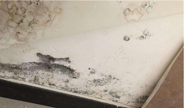 搞定梅雨天墻面受潮發(fā)霉，就選美涂士凈味抗甲醛微晶石藝術漆