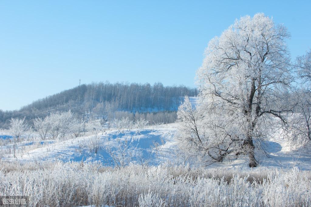 暖氣罩裝修效果圖_拋光磚裝修效果樣板圖_問道神龍罩等級(jí)效果