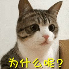 裝修預算清單_中央廚房設(shè)備預算清單 僅供參考_舞臺燈光架尺寸經(jīng)費預算清單