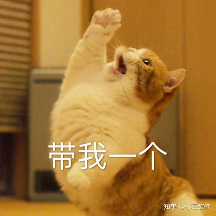 中央廚房設(shè)備預算清單 僅供參考_舞臺燈光架尺寸經(jīng)費預算清單_裝修預算清單