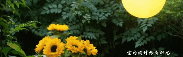 她買下一樓60平方米院子，打造成絕美花園，連陽臺、客廳也不放過